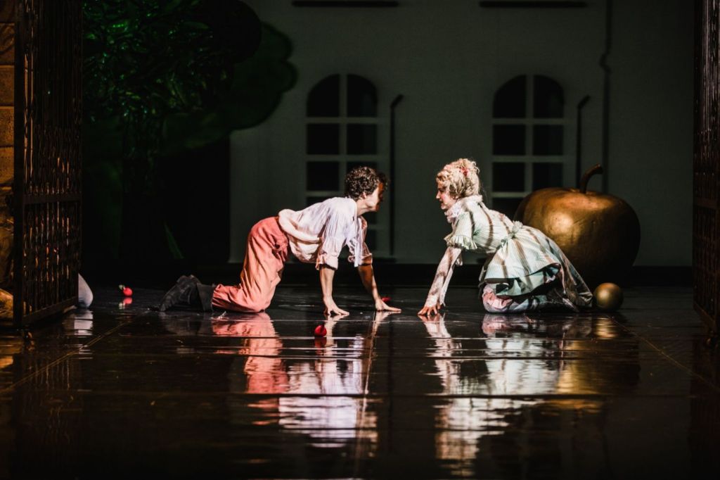 der gestiefelte Kater